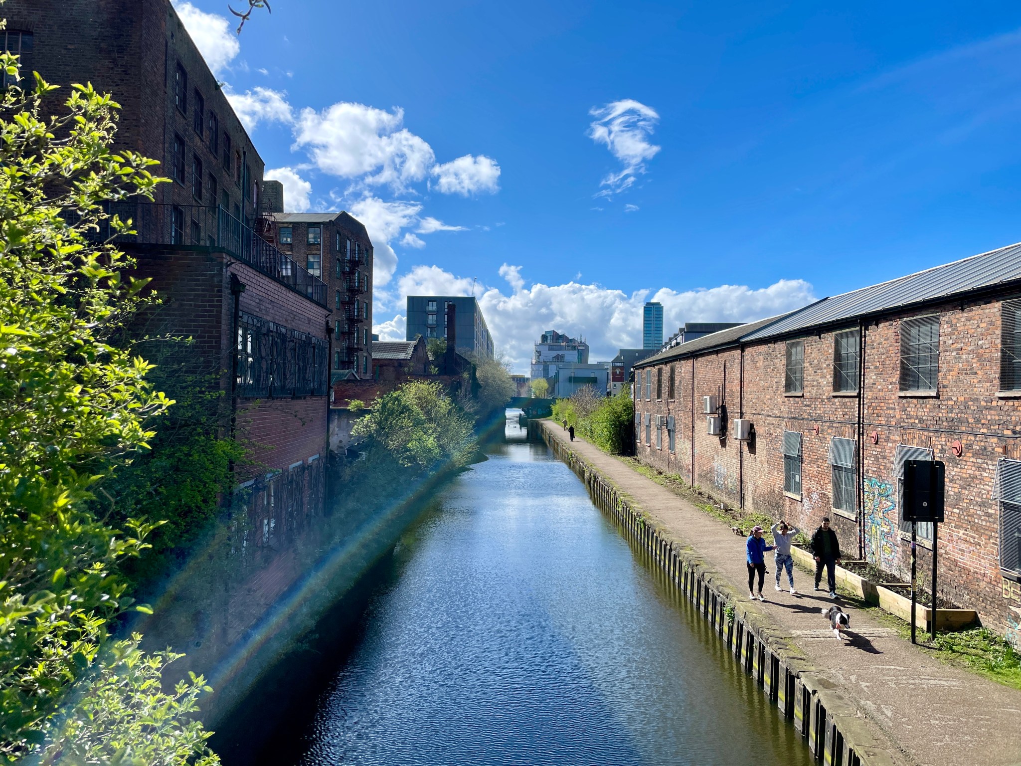 💙 Some are born here, some drawn here but we call it home