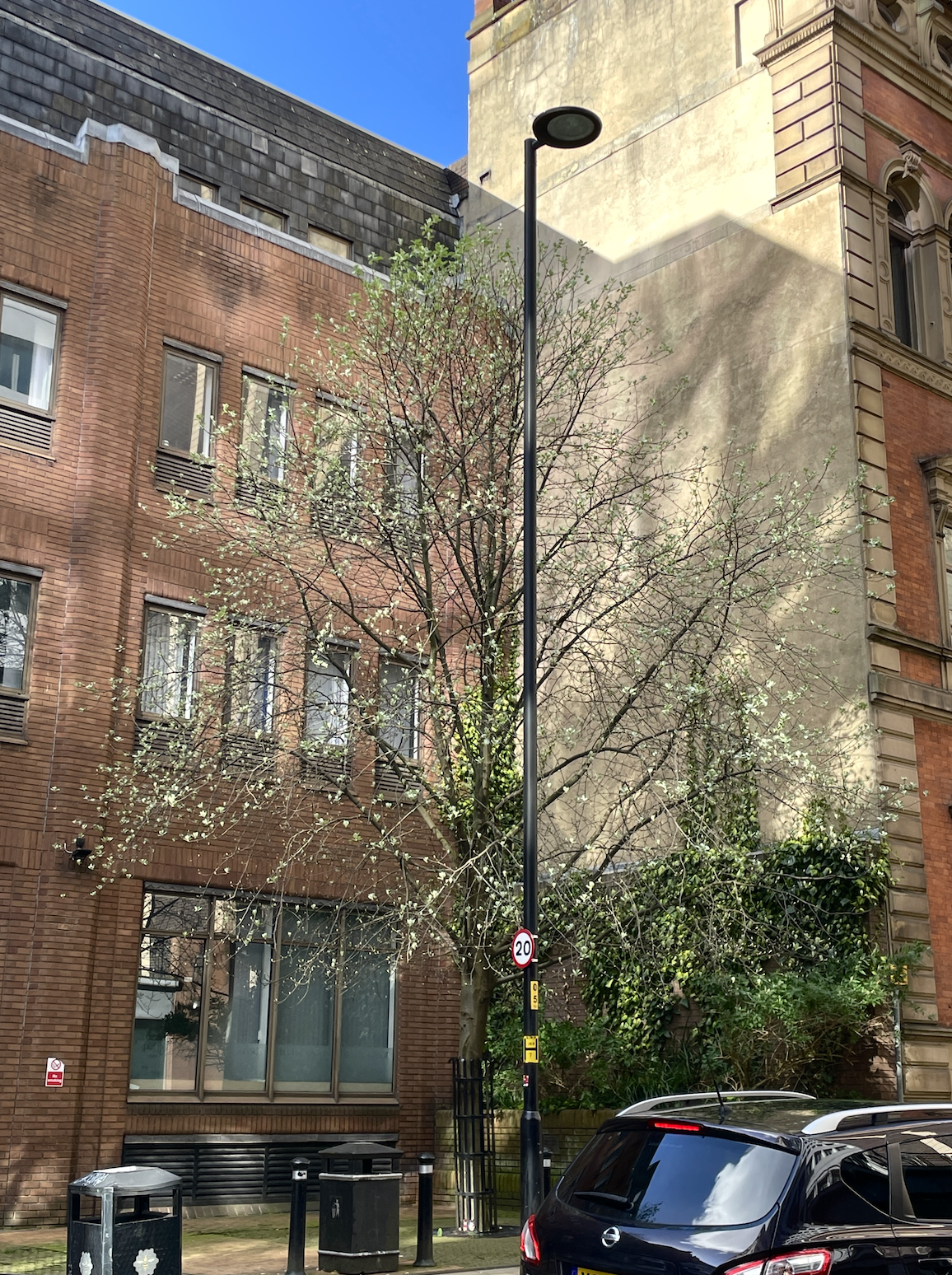 내집처럼 지내기